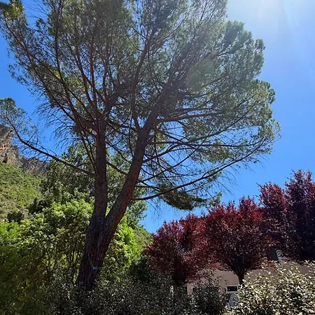 Vallon Des Sources - Cure Appartement *